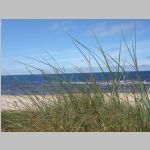 21-beachgrass.jpg